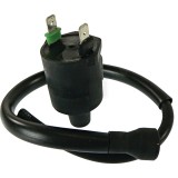 160-01020 Ignition Coil